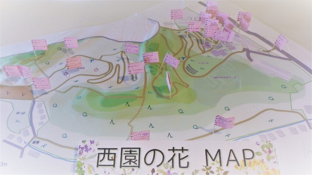 西園の花 MAP