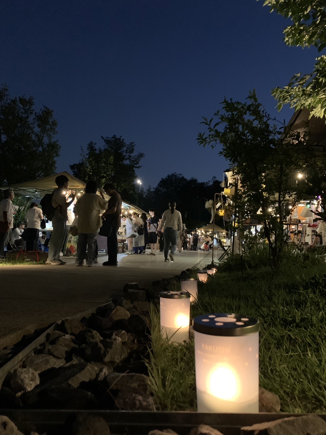 夜の公園で楽しむ星空サマーナイト！