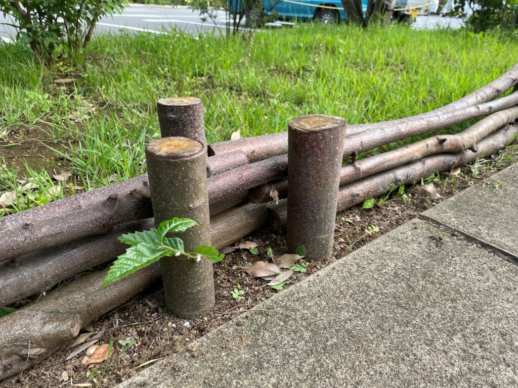 生命力