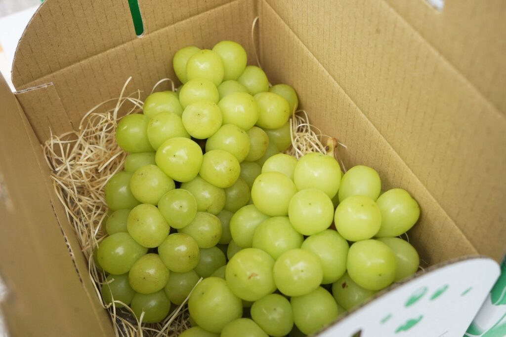 2か月ぶりの開催！YAKUSHI LOCAL FARMERS MARKET！