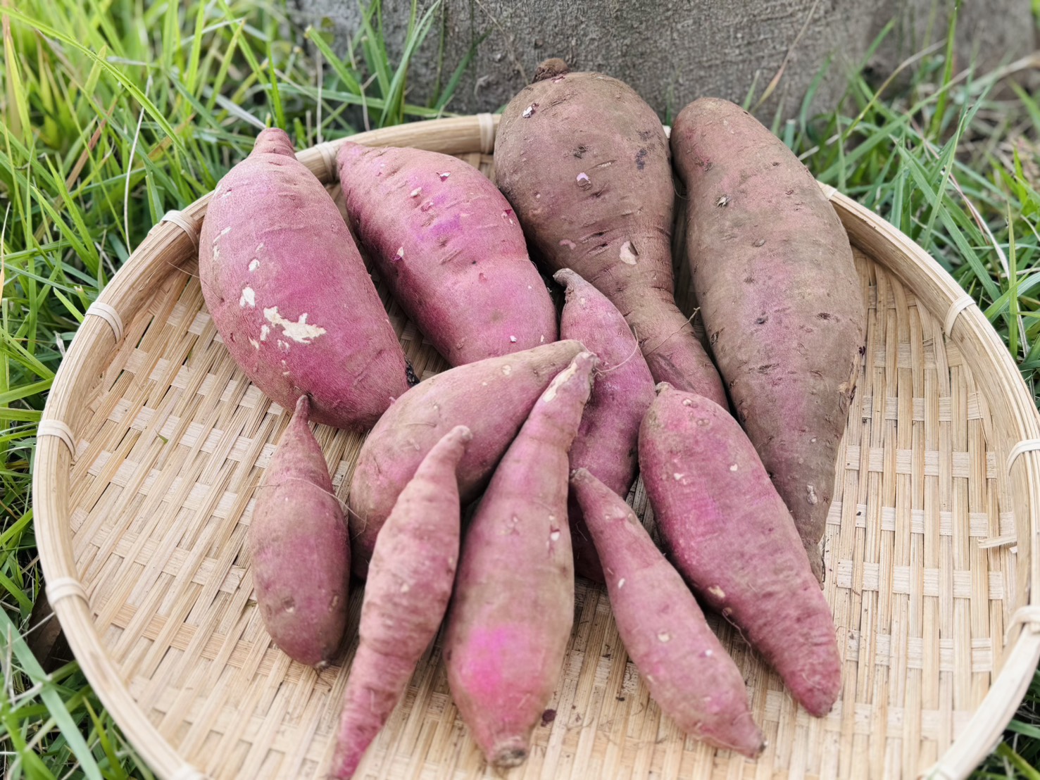 お好みの食べ方は？