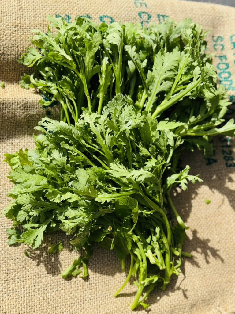 ほろ苦い香り♪