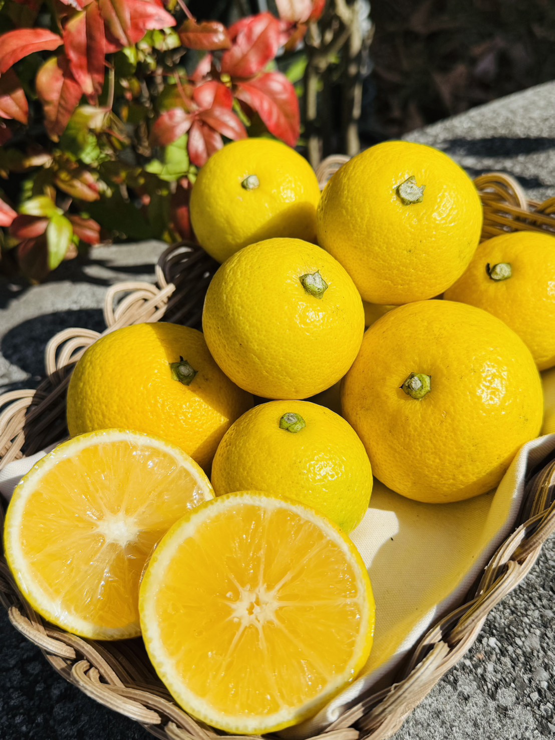 果汁たっぷりジューシー♪