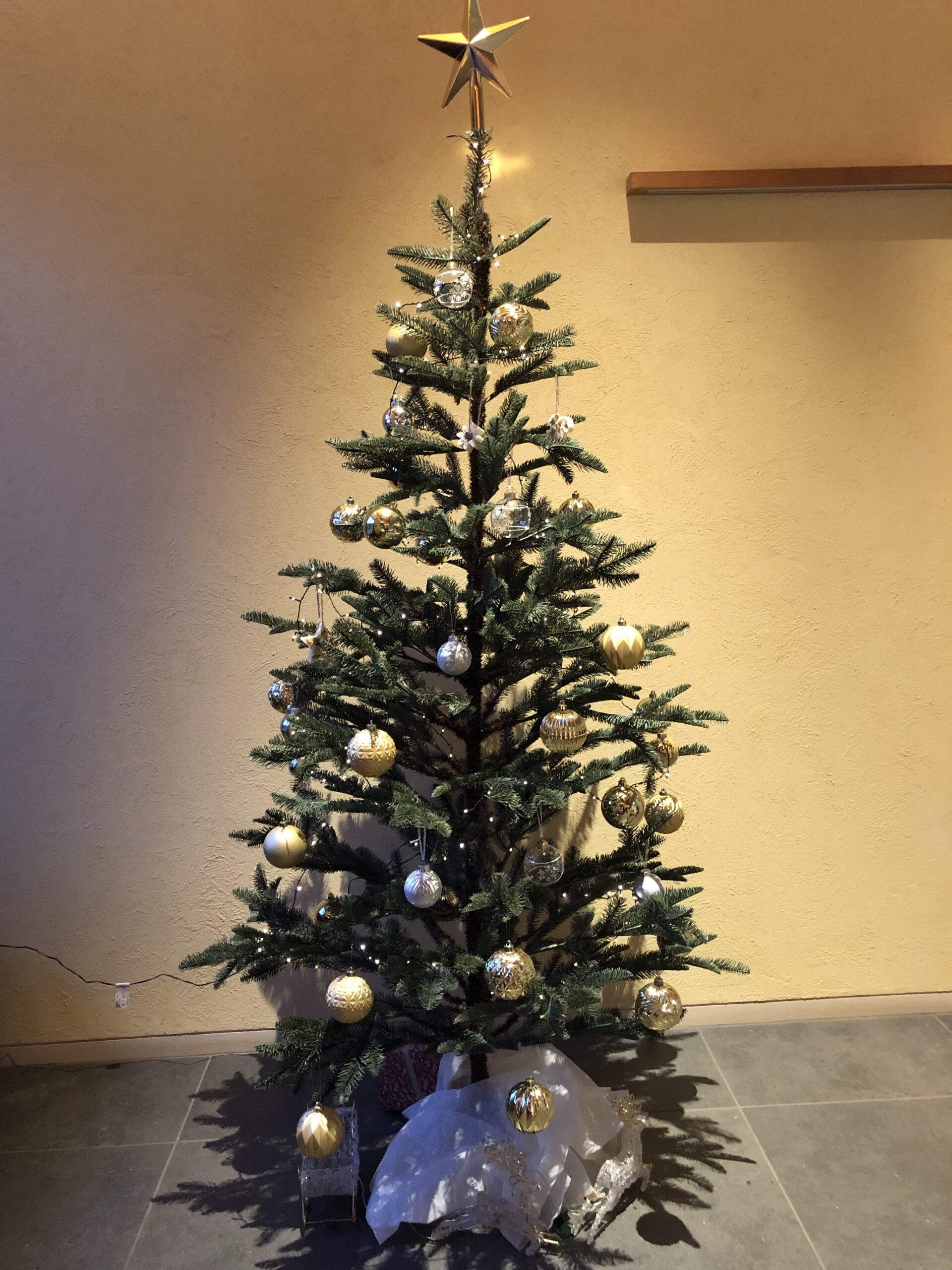 クリスマスツリー飾りました☆