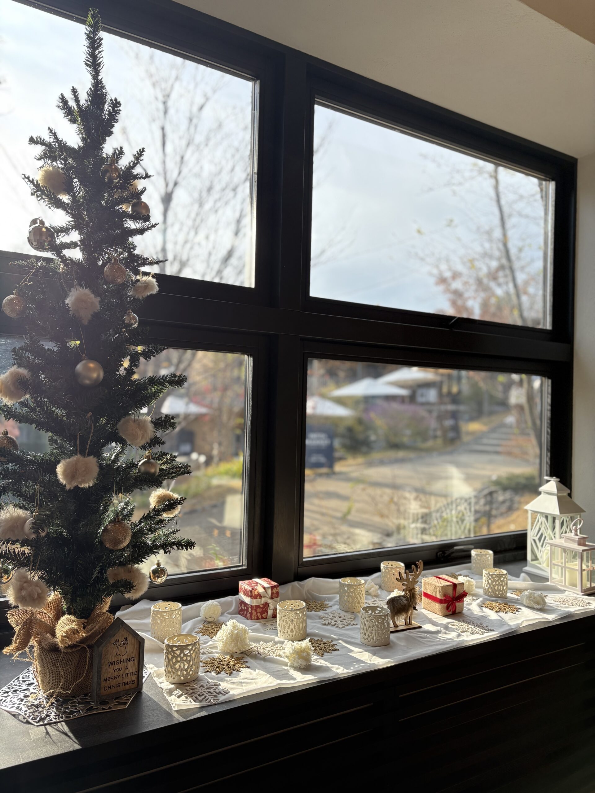 ライブラリー棟が冬の装いになりました♪