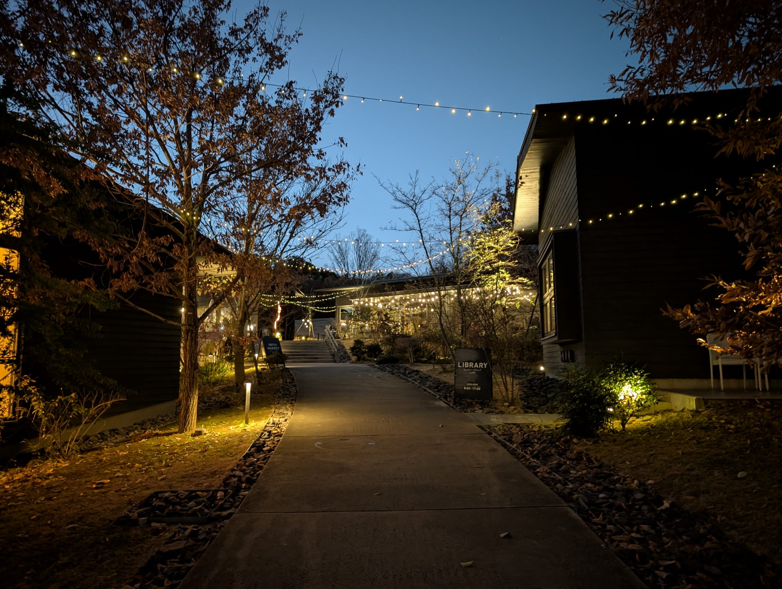 西園冬のイルミネーション