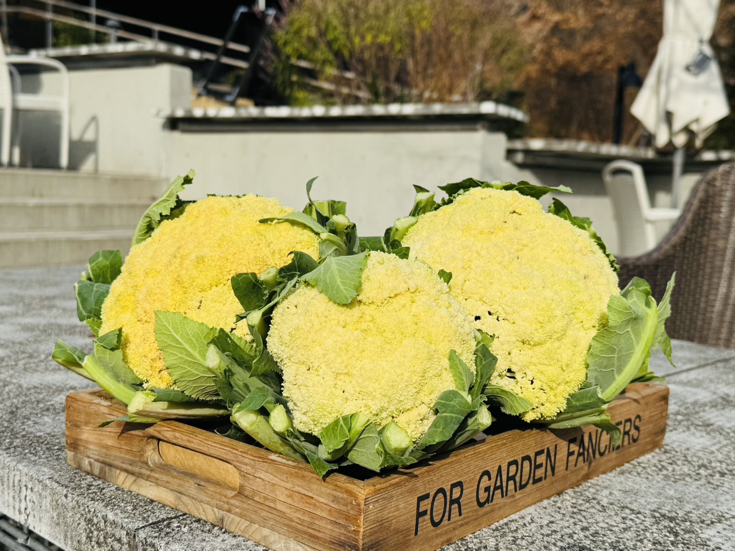 ブーケのようなお野菜