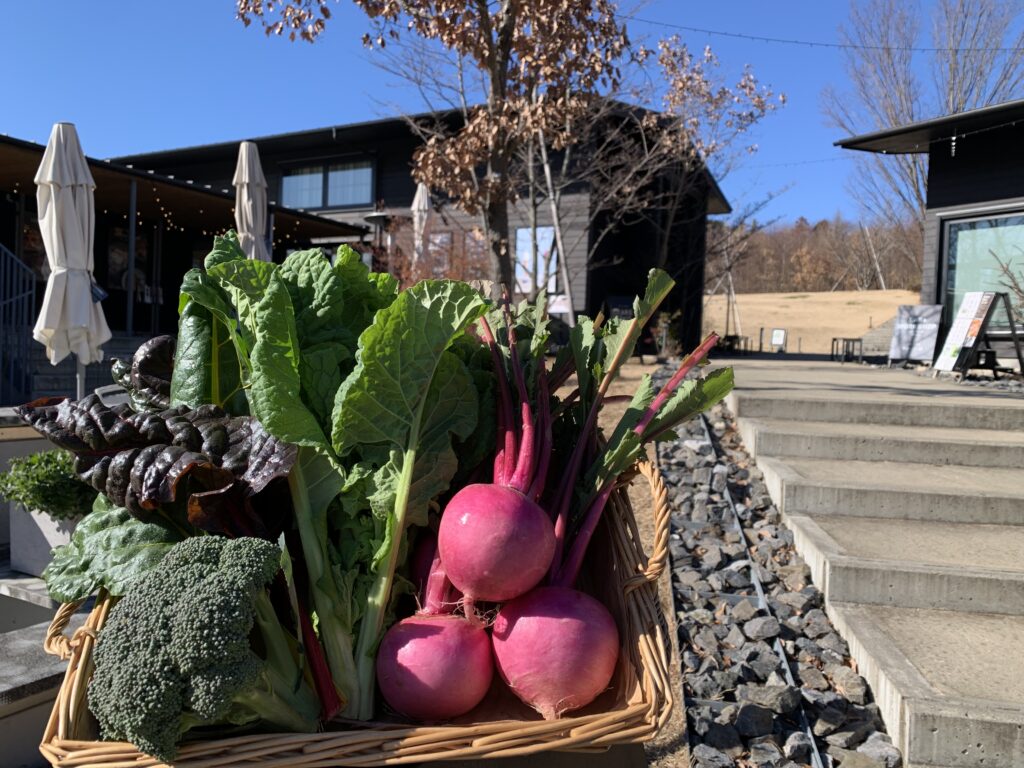 町田の旬野菜に出会いに！