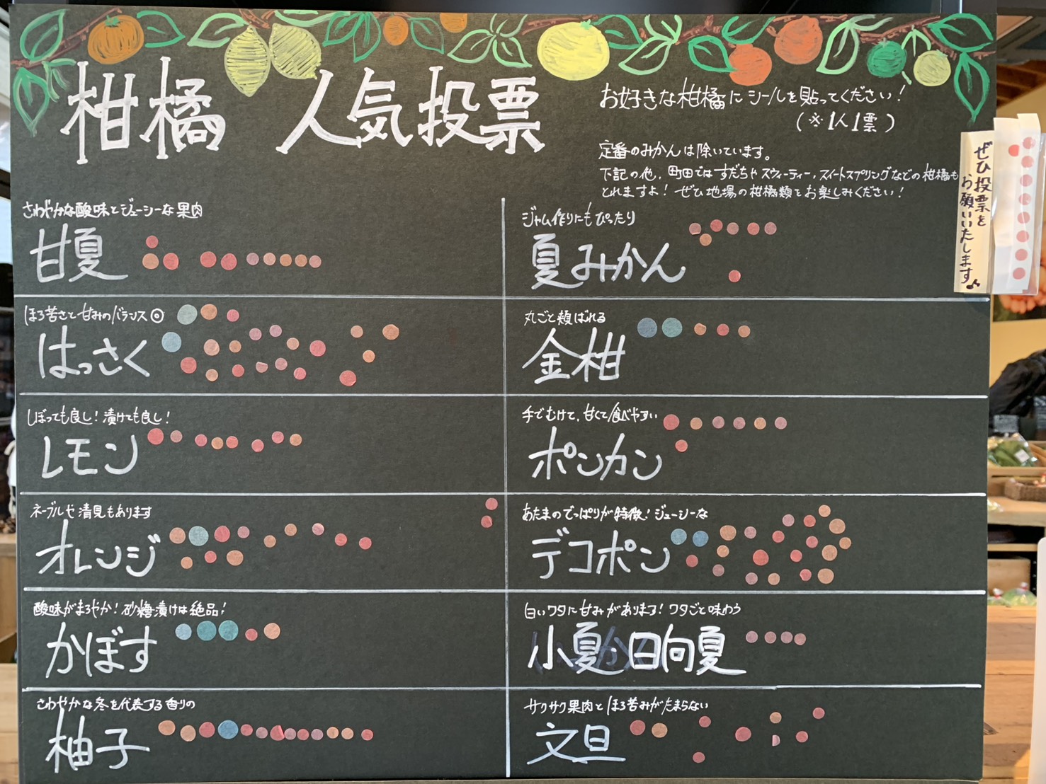 柑橘投票…人気なのは!?