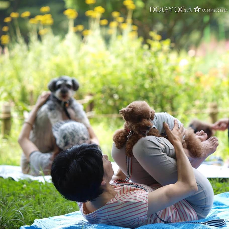 ＜やくしの学び＞ドッグヨガの参加者募集中♪