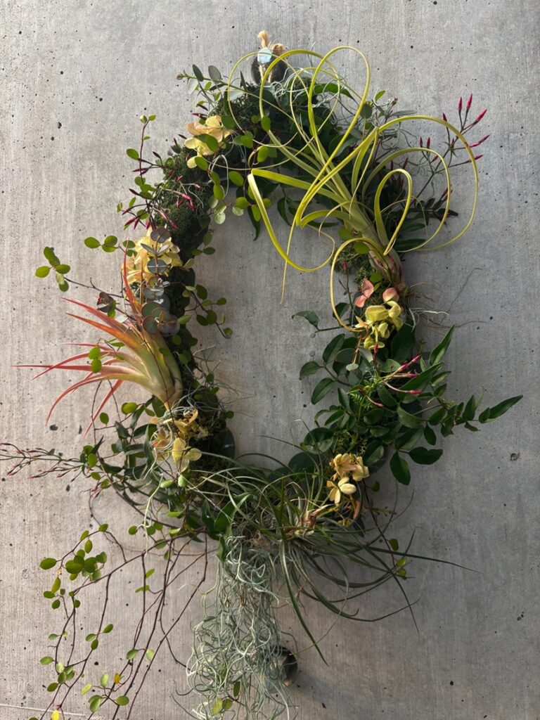 〈やくしの学び〉エアープランツのドア掛けオーバルリース 参加者募集中♪