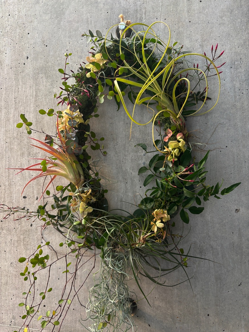 〈やくしの学び〉エアープランツのドア掛けオーバルリース 参加者募集中♪