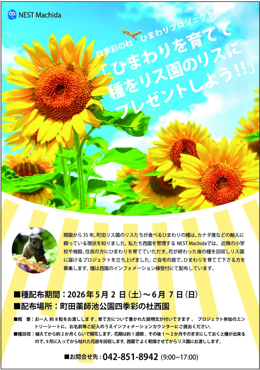 四季彩の杜ひまわりプロジェクト2026始動！/町田市ホームページ