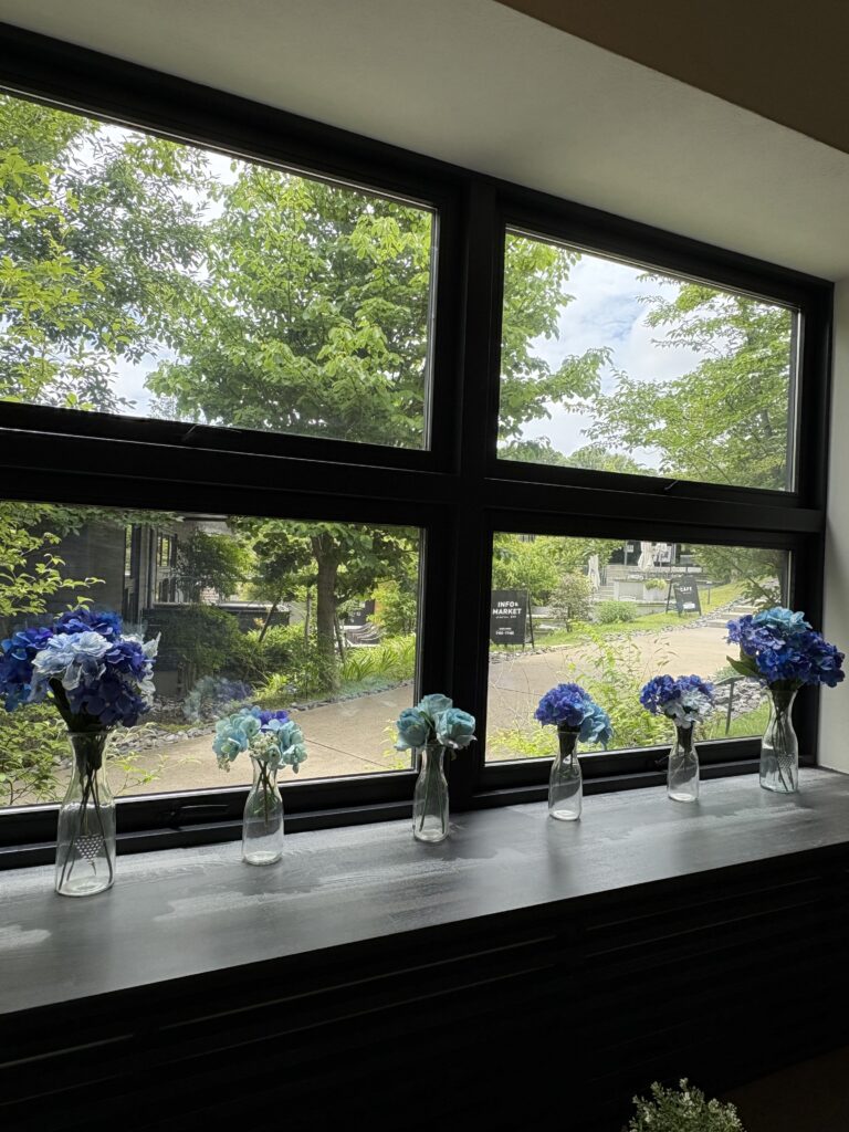 もうすぐ紫陽花の季節です♪