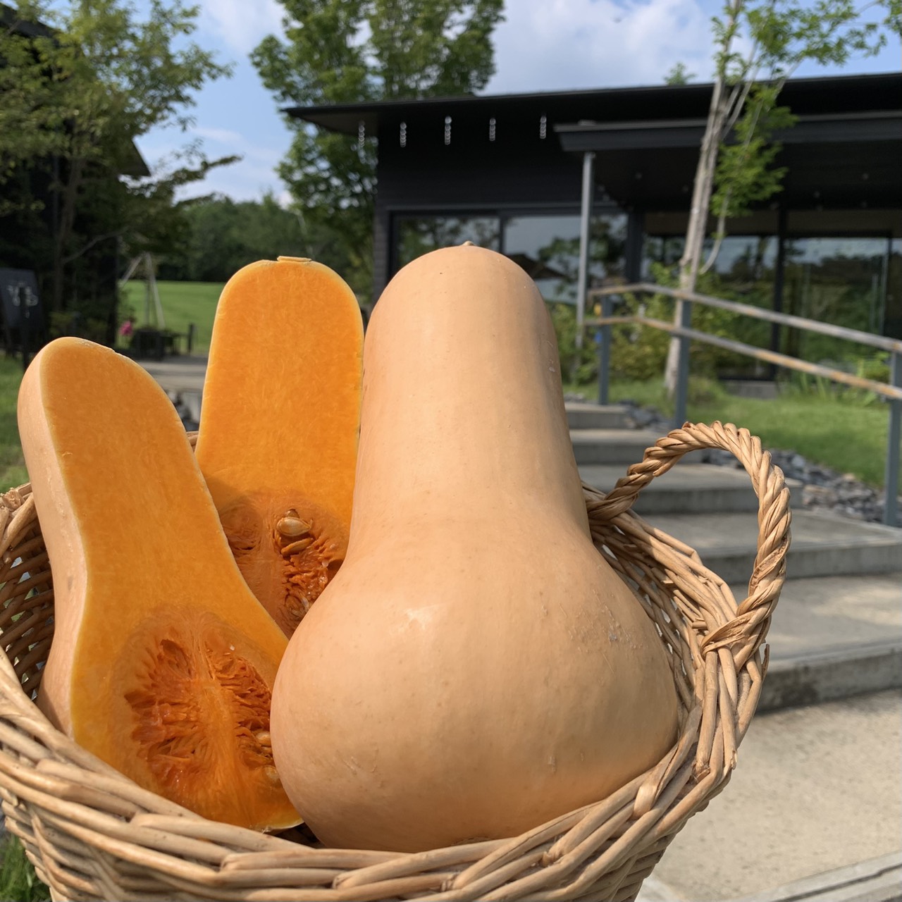 コクと甘みのバターナッツかぼちゃ!