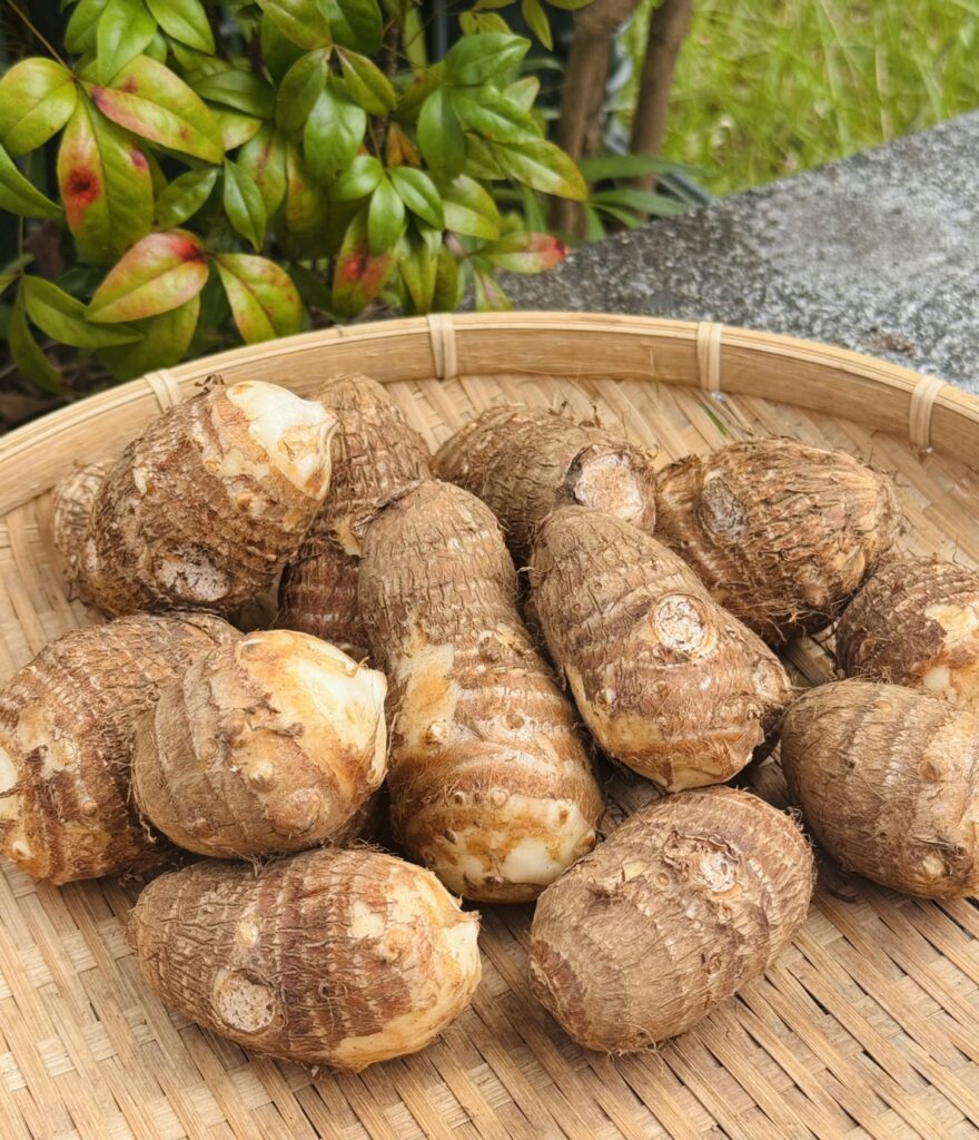 旨味がたっぷり、ねっとり食感！
